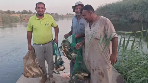 صيد اليوم  ٢٥/٩ او احلى طروب