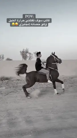 #الخيل_الانجليزي #الخيل_العربي_الاصيل #احمد_ابوارميلة #ahmad_aburmaleh 