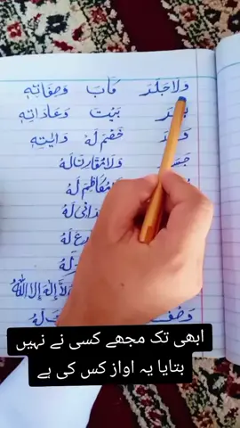 کمنٹس میں بتائیں یہ اواز کس شخص کی ہے########$