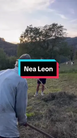O mână de ajutor #nealeon❤️🙏 #romania 