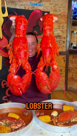 🦞 National Lobster Day is HERE! Fresh live lobsters waiting just for you at Angry Crab Shack Henderson! ◾️◾️◾️◾️◾️◾️◾️◾️◾️ 📍 4250 E Sunset Rd, Henderson, NV 89014  ☎️ (702) 998-9095 ⏰ Sun-Thursday 11AM-9PM ⏰ Fri-Sat 11AM-10PM 🚗 Pick-up/Delivery Available!  🍴 Dine in available! 💻 www.angrycrabshack.com/sunset-rd-henderson-nv/⠀  📣 #AngryCrabShackHenderson  ◾️◾️◾️◾️◾️◾️◾️◾️  #angrycrabshack #henderson #vegas #nationallobsterday 