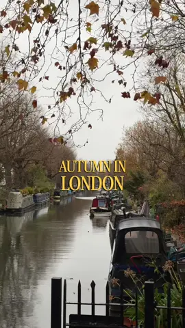 Autumn in London 🍂🤎