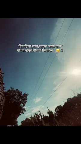 প্রিয় ছিলা কাল,হয়ছো আজ বাল