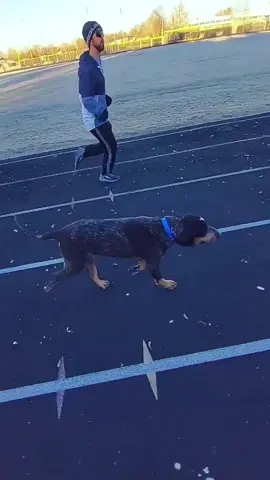 When your dog starts making noises that sound like an alien transmission 😂 #FunnyDogs #DogSounds #DogLife #PuppyComedy #DogHumor 