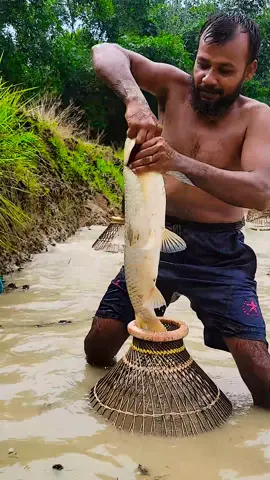 The Village Popular Fishing Trap. #fishingtrip #villagelife #fishing