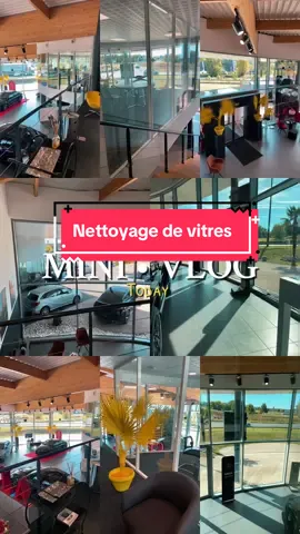 #vitre #ldv59160 #nettoyage #unger #moerman 