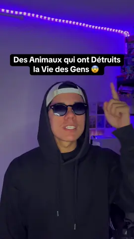 Des Histoires tragiques … 💔 #animaux #pourtoi #creepy #mystere 