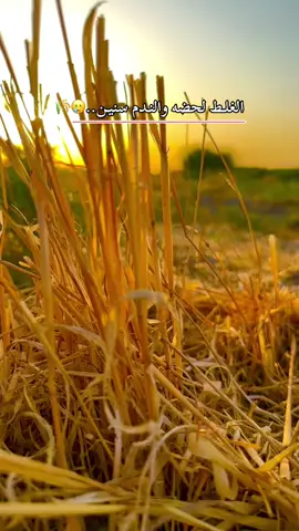اشلع ماسد#تصويري #عباراتكم_الفخمه📿📌 