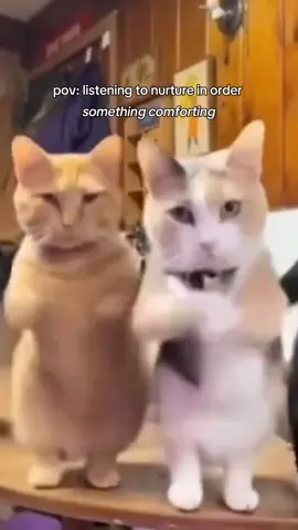 based on a true story