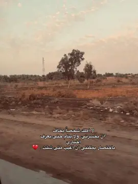 #كربلاء #كربلاء_مدينة_العشق_والعاشقين #الحله #النجف #الديوانيه 