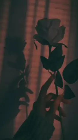 solo quiero que seas tú mi amor 💖 #CapCut  #paratiiiiiiiiiiiiiiiiiiiiiiiiiiiiiii  #paradedicar🙈❤️🙈  #videosromanticosparadedicar🥰🥺  #videoviral 