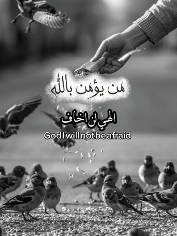 #CapCut #من_يؤمن_بالله_يهد_قلبه #الحمدالله_علی_کل_حال❤ #viral #capcut 