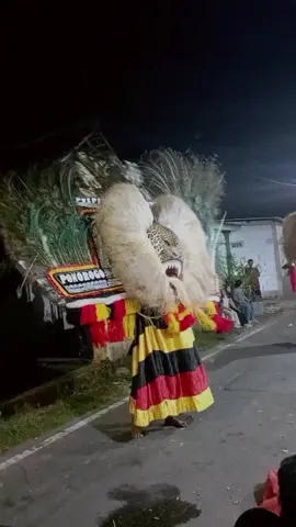 #sakembar #jorosando#reogmadiunan#reogponorogo 