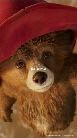 Falling in love with this bear again and again 🧡 #paddington #paddingtontok #fallinlove 