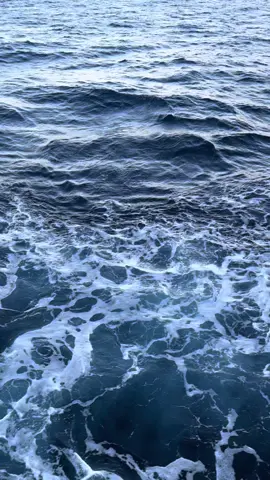 #fypシ゚ #songindia #sea 