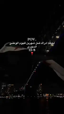 لحظه ادراك ضل شهرين لليوم الوطني السوري 8/12 🫶🏻🎀:pov