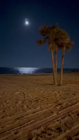 من عذاب الذكريات أحتاج لي صبر وعزيمة ليت دون الذكريات القاسية . . عازل حراري .#explore #مشاعرمبعثره 