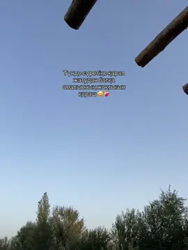 #безхештегов #сглрекке 