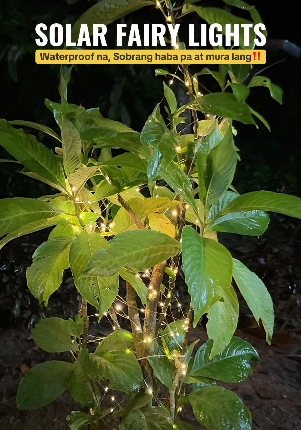 Sobrang ganda ilagay sa garden tong fairy lights😍 #solarlights #solarfairylights #fairylights #gardenlights #ledlight 