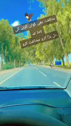 fyp#fyo#for_you_page-