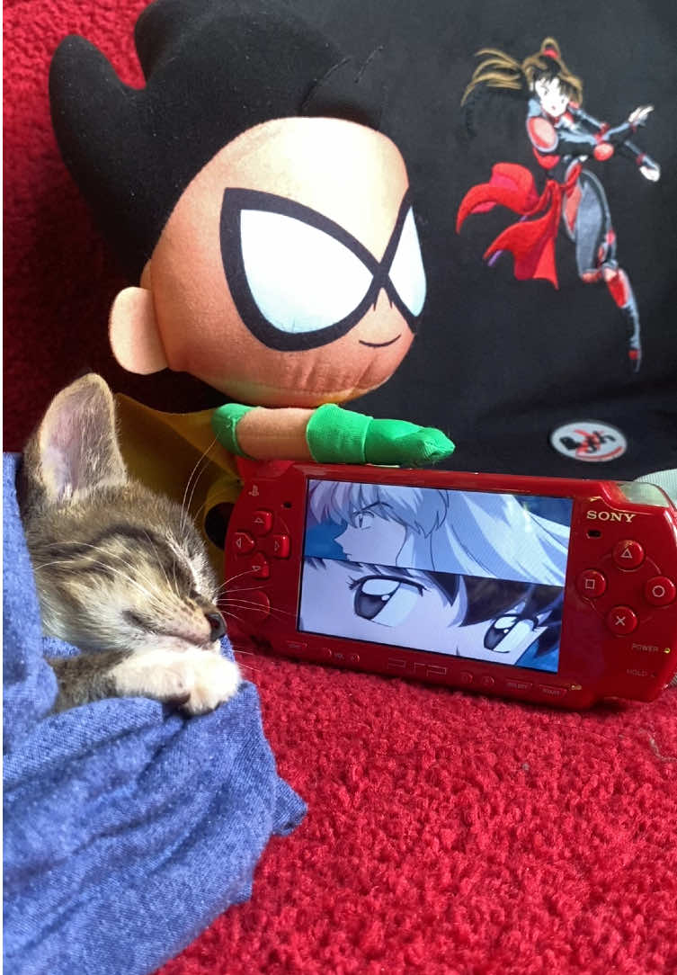 POV: It’s 3AM Part 3 #inuyasha #sesshomaru #catsoftiktok #anime #funny 