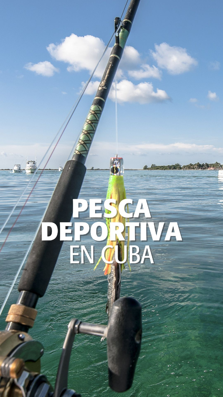 🎣 🌊 En Cuba, la pesca deportiva es pura emoción: aguas cristalinas, especies únicas y paisajes que hacen de cada captura una aventura inolvidable 🇨🇺✨. Desde la costa hasta altamar, el mar cubano siempre tiene un reto para ti. 🚤 🐟 . 🎣🌊 In Cuba, sport fishing is pure thrill: crystal-clear waters, unique species, and landscapes that turn every catch into an unforgettable adventure 🇨🇺✨ From the coast to the deep sea, the Cuban ocean always has a challenge waiting for you. 🚤🐟 . #PescaDeportiva #CubaAventura #MarCubano #Cuba #CubaTravel #CubaUnica #Sea #adventure #travelers
