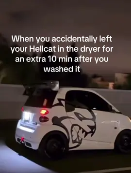 #hellcat #mini #lol #target #dodge 
