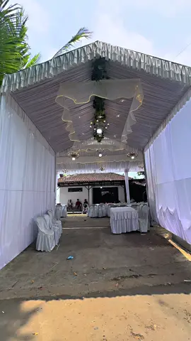 #wismatenda #jepara #fypシ #tendarigging #tendapernikahan 