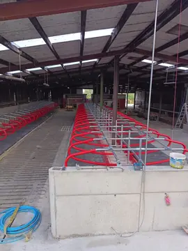 #cowschoose #dairyfarming #teamdairy 