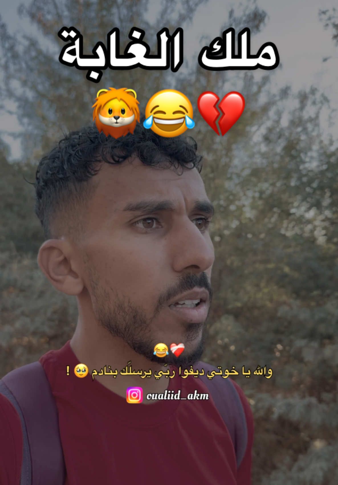 طاڤي ملك الغابة 🦁😂 #algeria #mostaganem #dzmemes #fypシ゚ 