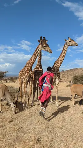 #maasaidance🎤📞🎧🇹🇿 #etophiya_tik_tok🇪🇹🥰 #maasaiwomentiktok🇰🇪 #maasaibusiatiktokers🎧 #maasaidance🎤 