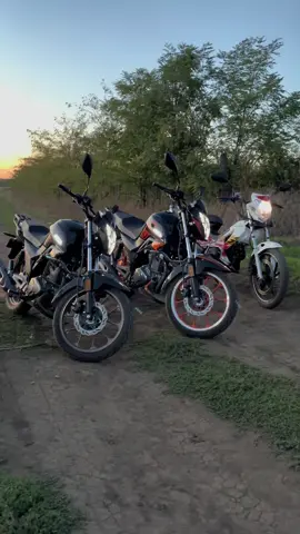 @🅓🅑🅘 674 #fyp #videoviral  #video #viral #viraltiktok 
