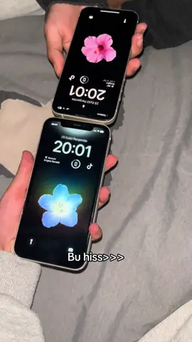 Geç oldu sanki biraz whwknskdkd @𝒔𝒑𝒊𝒅𝒆𝒓𝒎𝒂𝒏𓆉︎🕸️🕷️ #duwrxhii #telefon #fyp #airdrop #iphone 