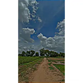 🤌🏻🌸#foryourpage #unfrezzmyaccount #growmyaccount #trending #unfreeze 