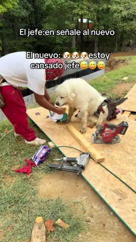 #umor😅 #framing📐🔨 la generación de cristal no aguanta nada😂😂😂😂