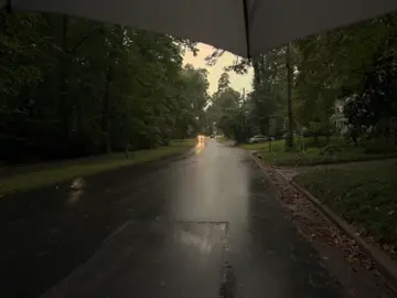 #هدوء #مطر #فيديو_هادئ 