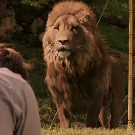 #fantasy#thecroniclesofnarnia 