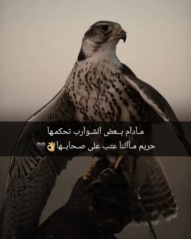 #عباراتكم_الفخمه📿📌 #شيلات_حماسيه 
