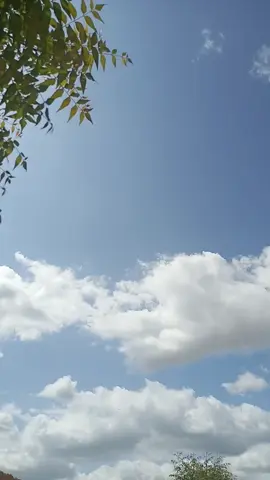 #creatorsearchinsights #vairal #vairalvideo #vairal_video_tiktok #vairal_video 