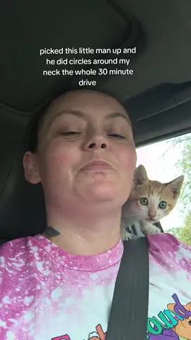 #kittens #catsoftiktok #cats #pigletsquad🐷🐽 #weirdofamilyunite 