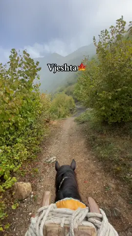 #dibra #albania #tirana🇦🇱 #viralvideos #fyp 