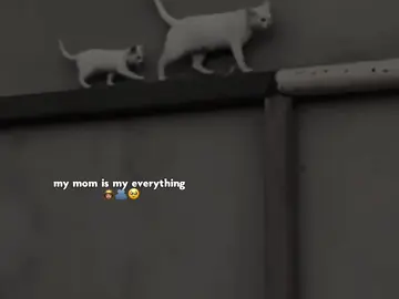 mom😭👸🏽#viewsproblem #foryoupage #akira_1132 