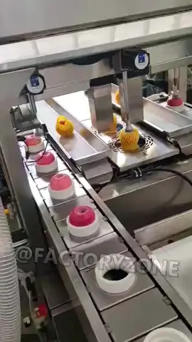 Factories 🏭 #process #factory #fyp #satisfying #asmr 