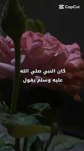#قران_صلي_علي_النبي #اكسبلو #الان #قران_صلي_علي_النبي📿✨ #الطايف 