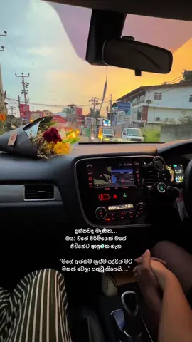 මං ඔයාට ආදරේ කරන්න පටන් ගත්තෙ මං ආයෙ ආදරේ කරන්නෙ නෑ කියලා හිතපු කාලෙක🫶🏻✨🤍#fypppppppppppppppppppppppp 