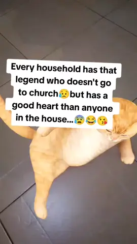 #creatorsearchinsights #funnyvideos😂 #fyp 