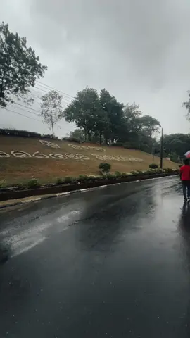 Winter is coming 🥹🤍#creatorsearchinsights #200kviews #fyp #sabaragamuwauniversity #coldweather 