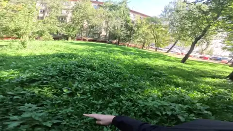 НАС ЗАДАВИЛ БОРОДАЧ!?  Пришли в гаражи все было хорошо сначала, а затем бородач погнался за нами! Что случилось это жесть… 