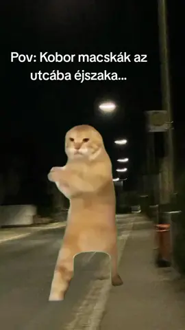 És tényleg...🤣🤣🤣 #Meme #MemeCut #CapCut 
