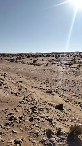 #الصحراء_دوز 